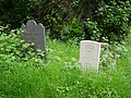 Graves along the south edge of Mill Road Cemetery, Cambridge.