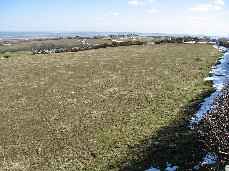 File:Grazing field by Kelston Farm - geograph.org.uk - 3397697.jpg