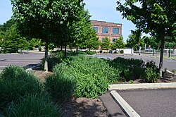 Green parking lot with bioswale