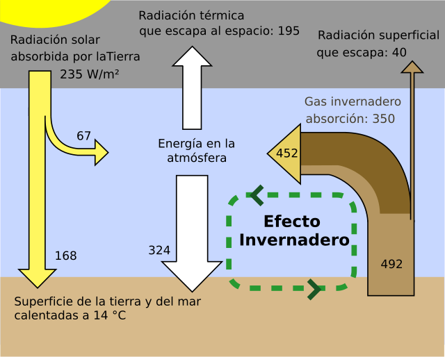 Nitrógeno líquido: ¿por qué un elemento que está a -196 grados es tan común  en nuestras vidas?