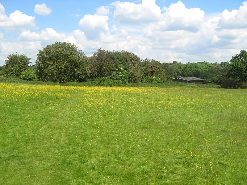 File:Harpenden-Common-20040531-005.jpg