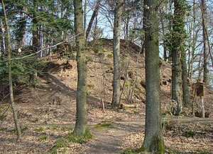 Heidelberg Obere Burg: Geschichte, Anlage, Quellen