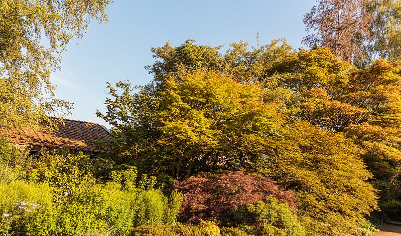 File:Heesterborder. Locatie, Tuinreservaat Jonkervallei 03.jpg