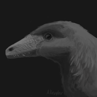 Hesperornithoides.png