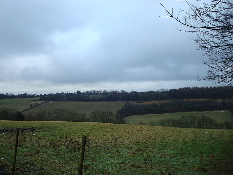 File:Higham Hill - geograph.org.uk - 1718764.jpg