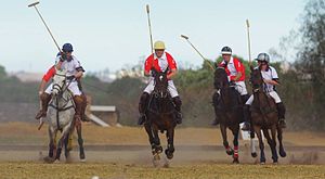 Hilton and Michaelhouse Old Boys competing in the Hilton Michaelhouse Polo Cup Hilton Michaelhouse Polo Cup.jpg