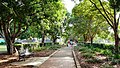 Avenue of remembrance in Fairfield Park