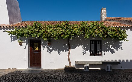 House with a grapevine, Monsaraz Castle, Portugal
