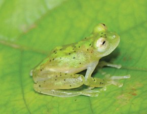 Popis tohoto obrázku, také komentován níže