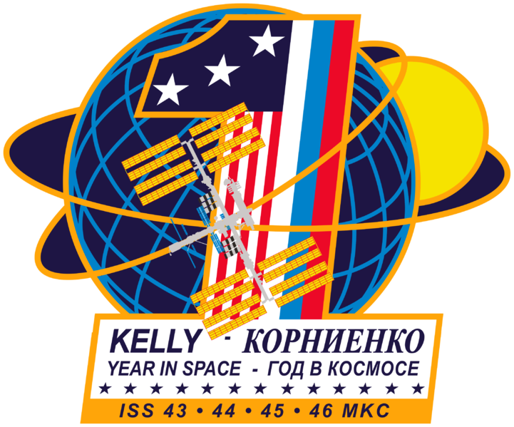 File:ISS Yearlong mission patch.png