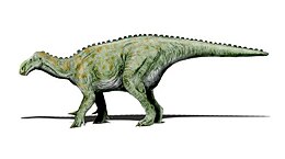 Iguanodontas (Iguanodon)