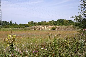 Nature reserve "Im Dulbaum bei Alsbach": former sand pit from the east (2020)