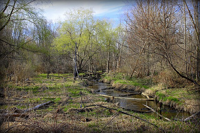 Ingersol Creek at Novi. Note riparian buffer. Just outside the frame are a rail line and residential, industrial, and public recreation facilities