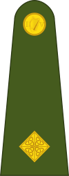Ireland-Army-OF-1a.svg