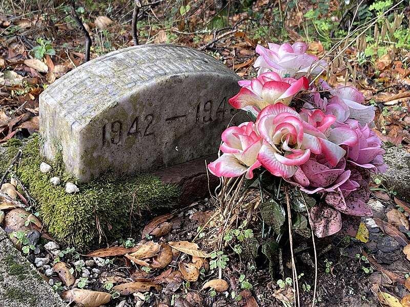 File:Jeanette Yvonne Grooms - Mountain Cemetery - December 2022 - Sarah Stierch 03.jpg