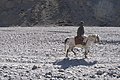 Kali Gandaki Valley, Horse rider, Mustang, Nepal, Himalaya.jpg