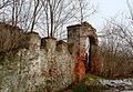 Kamienna Góra, ruiny zamku(Aw58)DSC01371.JPG