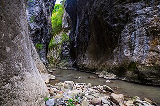 Kanjon „Cediljka” je prirodna atrakcija nedaleko od Zvonačke banje. Usekla ga je reka Blatasnica.