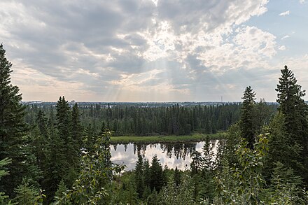 Kerry Wood Nature Centre, Red Deer