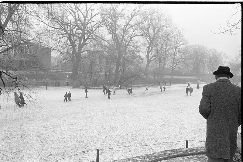 File:Kinder laufen Schlittschuh auf dem Teich im Schützenpark im Winter (Kiel 32.164).jpg