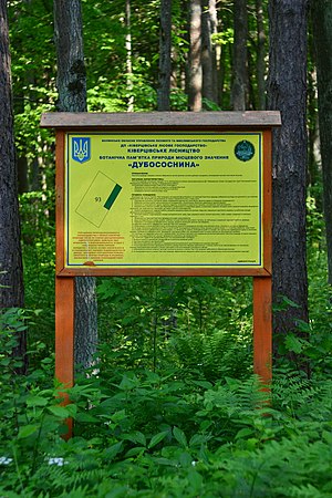 Kivertsi Volynska-Dubososnyna nature monument-information board.jpg