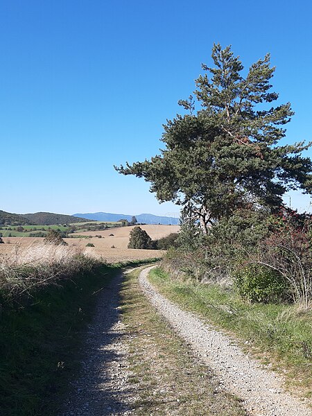 File:Klenov, jeseň. Turistický chodník 23 Slovakia 7.jpg