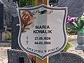 image=http://commons.wikimedia.org/wiki/File:Kowalik_Maria_-_621.jpg