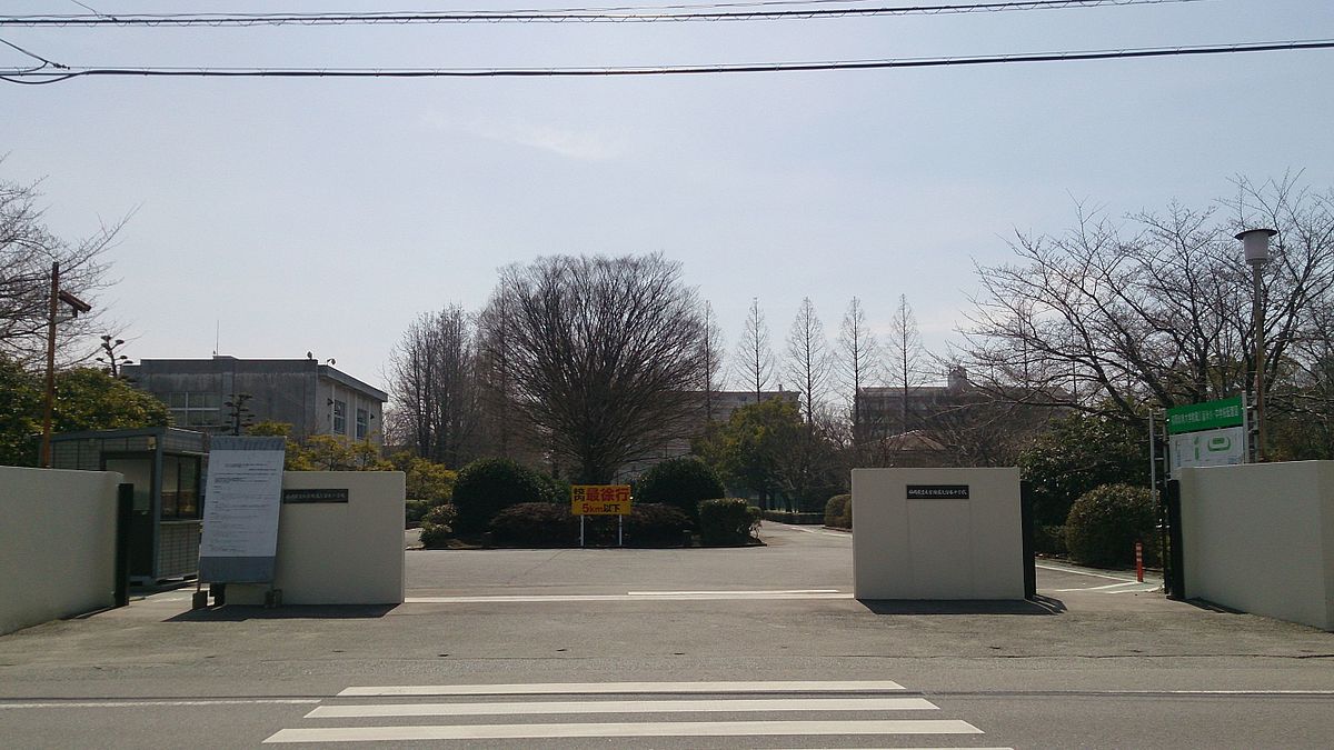 Kurume Primary School and Kurume Junior High School Main Gate.jpg
