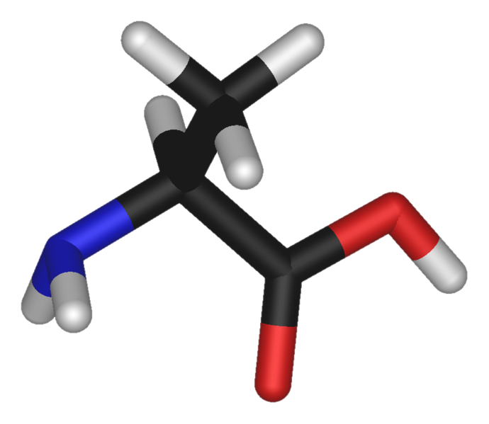 صورة:L-alanine-3D-sticks.png