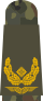 LA OS5 61 generał brygady.svg