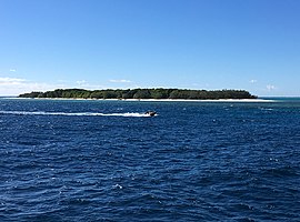 Wanita Musgrave Island.jpg