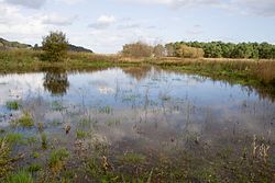 Lagoa de San Martiño