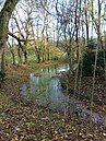 Wassergraben Burg Langeleben