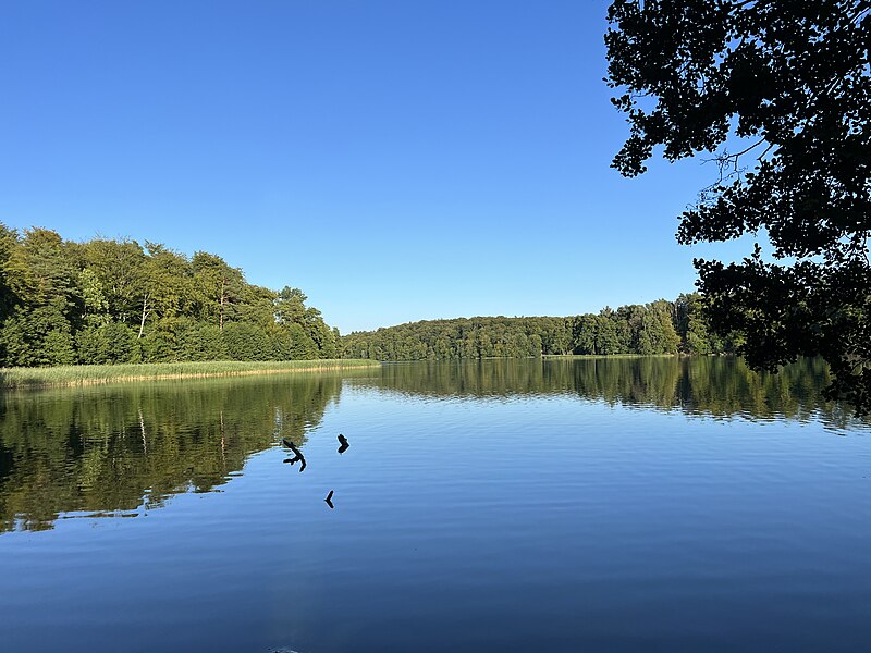 File:Lanke Liepnitzsee lub 2023-08-11.jpg