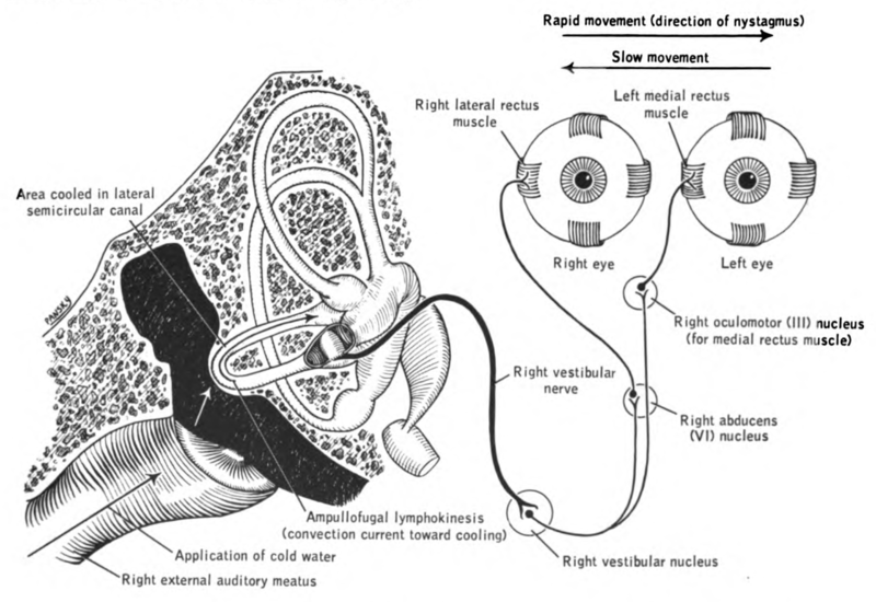 https://upload.wikimedia.org/wikipedia/commons/thumb/2/2b/Lawrence_1960_13.8.png/800px-Lawrence_1960_13.8.png