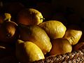 basket with Spanish lemons