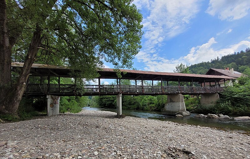 File:Leseni most v Žabji vasi.jpg