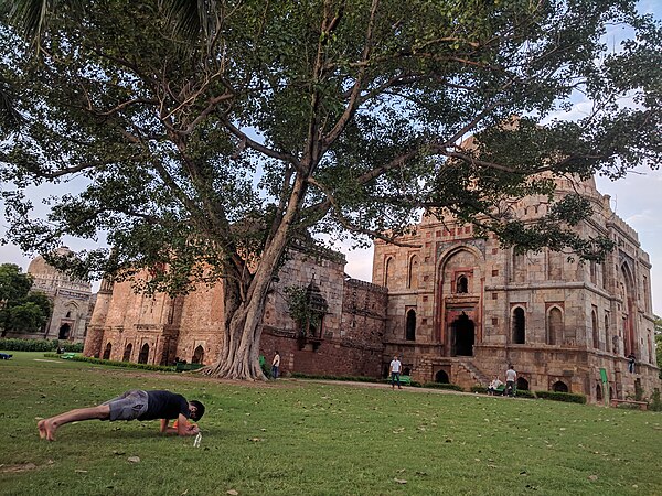 Lodi Gardens is popular for exercise and walking enthusiasts