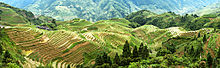 Panorama of the Longji terrace, one of the Longsheng rice terraces of Guangxi, China Longsheng pano.jpg