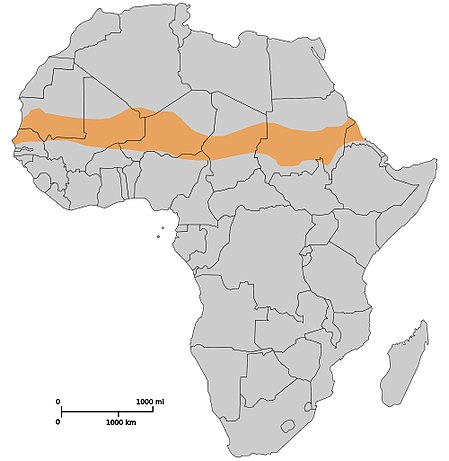 Sahel