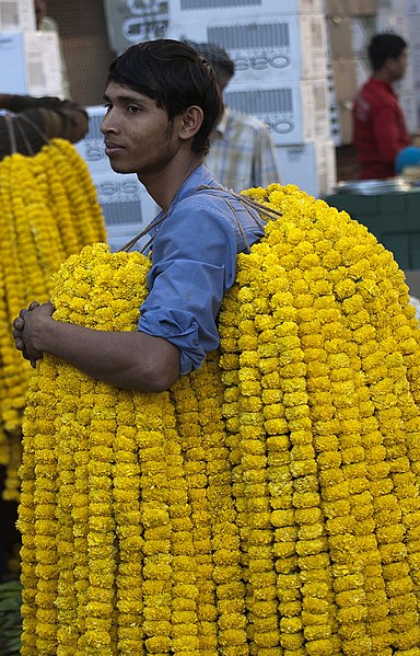 File:Marigold Seller (5552441478).jpg