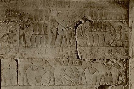 Depiction of beer production in the Mastaba of Ti, with typical beer jugs.