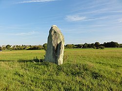 Illustrasjonsbilde av artikkelen Pierre de Gargantua (Neaufles-Auvergny)