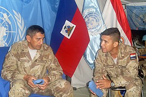 Streitkräfte Paraguays: Organisation, Geschichte, Teilstreitkräfte