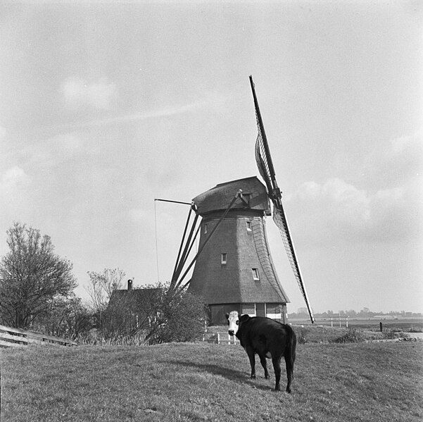 File:Molen van de Veender- en lijkerpolder - Rijpwetering - 20187466 - RCE.jpg