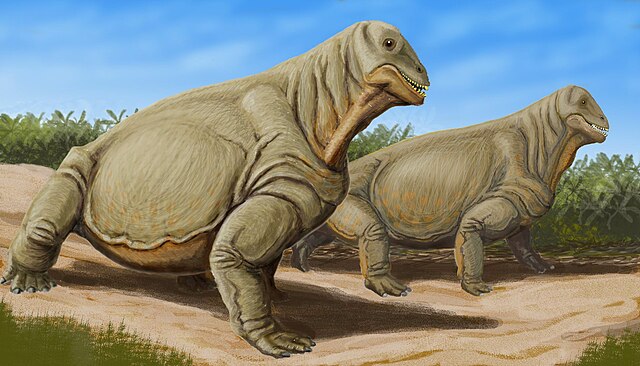 Moschops capensis of the Middle Permian, South Africa.