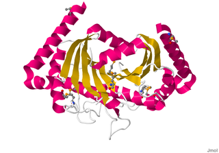 <span class="mw-page-title-main">Motility protein B</span>