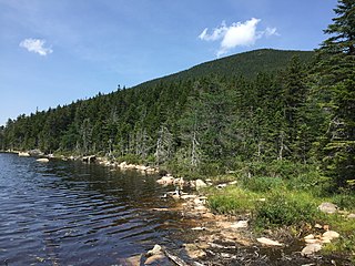 <span class="mw-page-title-main">Mount Nancy</span> Mountain in the state of New Hampshire