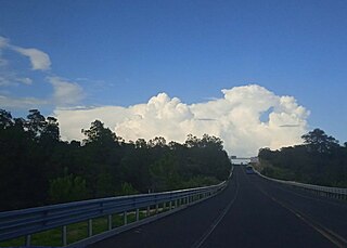 <span class="mw-page-title-main">Multicellular thunderstorm</span> Thunderstorm composed of multiple storm cells