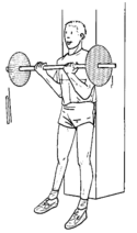 Musculation exercice biceps 2.png